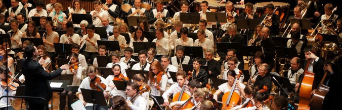cropped-ORCH-SITE2.jpg